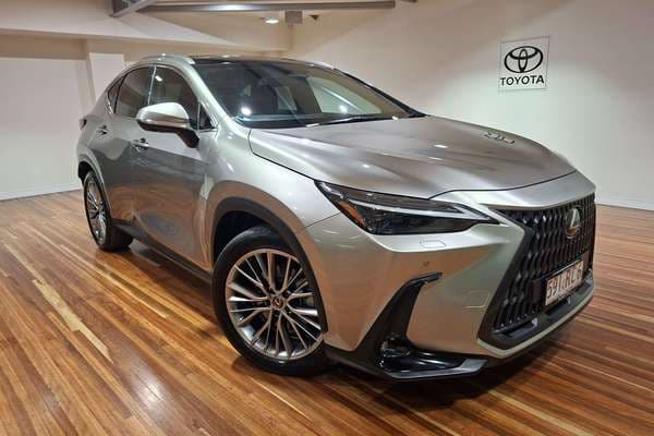 2022 Lexus NX